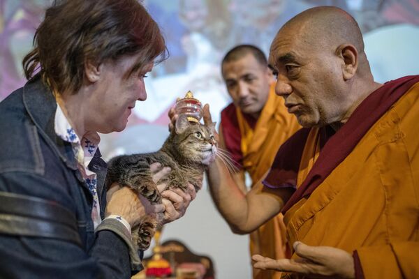 رئیس هیئت راهبان هیمالیا، گشه تسوانگ دورجه، در مراسم برکت حیوانات به عنوان بخشی از جشنواره بودایی خوش شانسی در مسکو، یک گربه را مورد برکت قرار می دهد. - اسپوتنیک ایران  