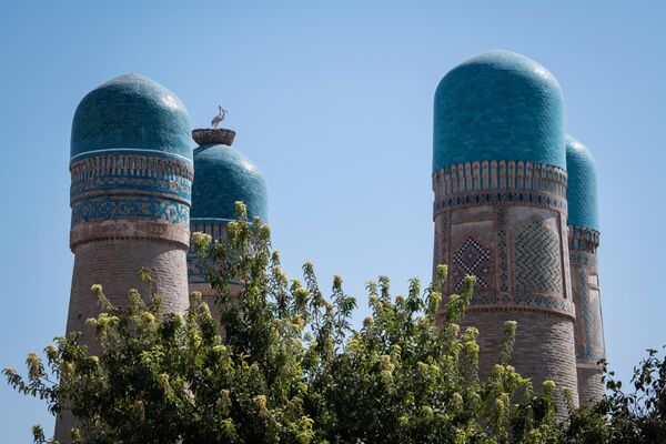 مدرسه چور مینور در مرکز تاریخی شهر بخارا در ازبکستان  - اسپوتنیک ایران  