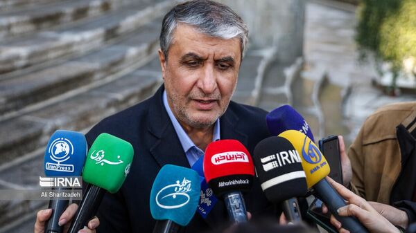 محمد اسلامی، رئیس سازمان انرژی اتمی ایران  - اسپوتنیک ایران  