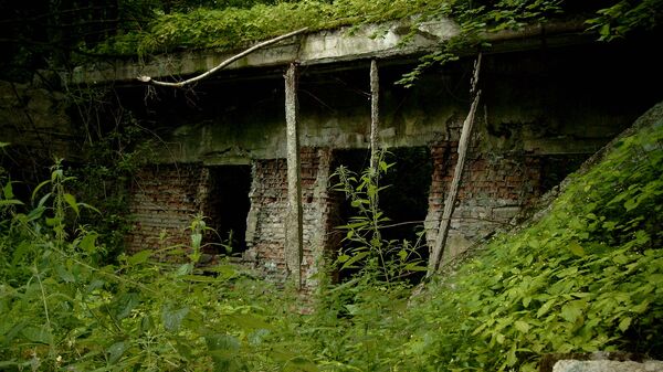 Руины ставки Гитлера Волчье логово в городе Кентшин - اسپوتنیک ایران  