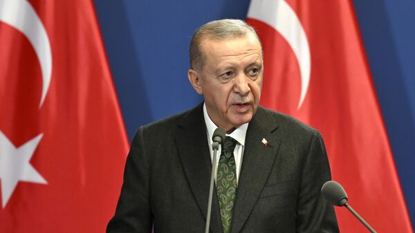 رجب طیب اردوغان، رئیس‌جمهور ترکیه - اسپوتنیک ایران  