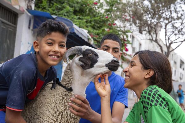 کودکان تونسی در تعطیلات مسلمانان عید قربان، گوسفندی را در تونس المدینه نوازش می کنند. - اسپوتنیک ایران  