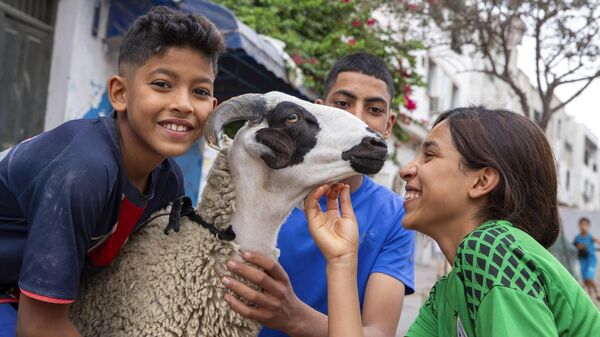 کودکان تونسی در تعطیلات مسلمانان عید قربان، گوسفندی را در تونس المدینه نوازش می کنند - اسپوتنیک ایران  