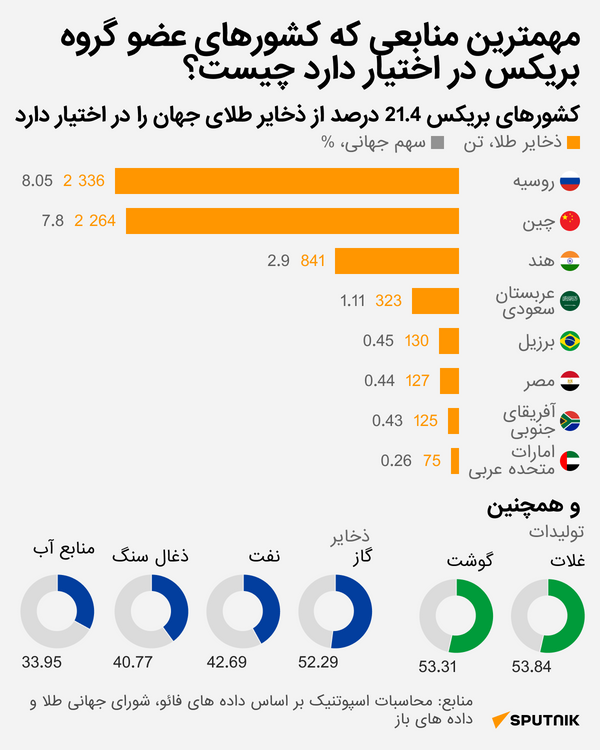 مهمترین منابع کشورهای عضو بریکس چیست؟
 - اسپوتنیک ایران  