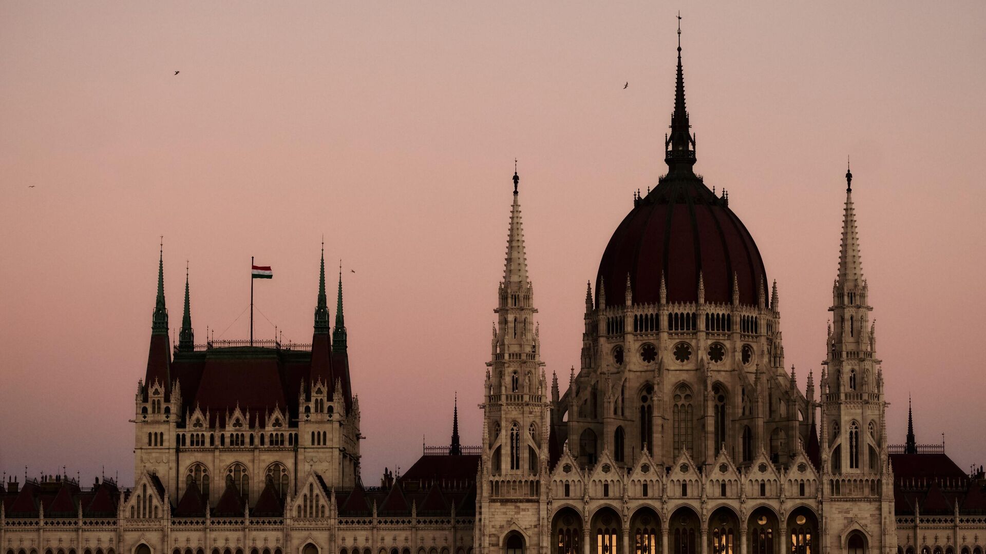 Birds fly over the Hungarian Parliament Building in Budapest, Hungary Birds fly over the Hungarian Parliament Building in Budapest, Hungary - اسپوتنیک ایران , 1920, 20.03.2025