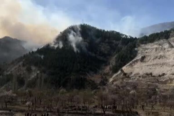 آتش سوزی در جنگلهای داغستان آتش سوزی در جنگلهای داغستان - اسپوتنیک ایران
