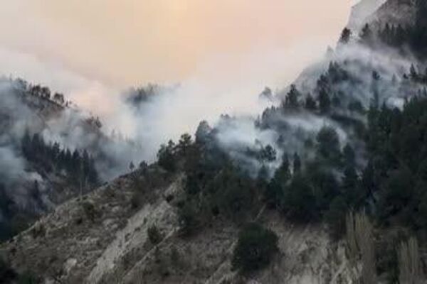 آتش سوزی در جنگلهای داغستان آتش سوزی در جنگلهای داغستان - اسپوتنیک ایران