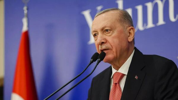 اردوغان: ساخت اولین رآکتور نیروگاه هسته‌ای آک‌کویو به زودی تکمیل می‌شود - اسپوتنیک ایران  