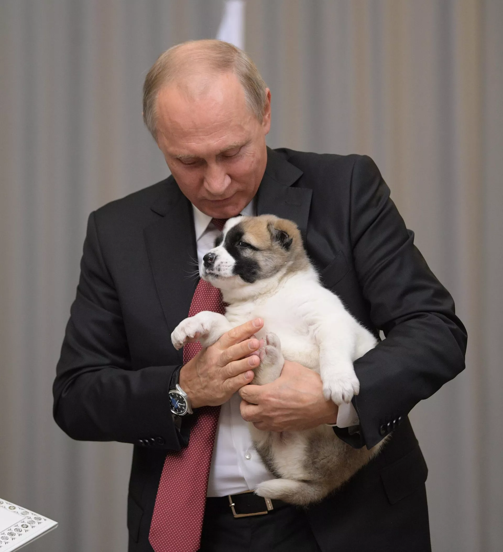 Президент РФ В. Путин встретился с президентом Туркмении Г. Бердымухамедовым - اسپوتنیک ایران  , 1920, 07.05.2025