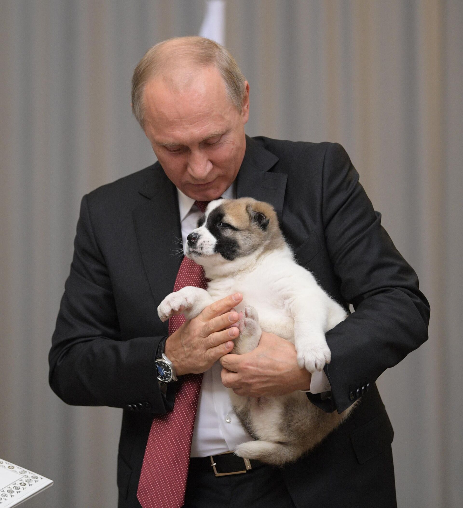 Президент РФ В. Путин встретился с президентом Туркмении Г. Бердымухамедовым - اسپوتنیک ایران  , 1920, 07.05.2025