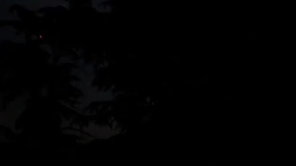 پدافند هوایی هند پهپادها را بر فراز سرینگر، مرکز ایالت جامو و کشمیر، رهگیری کرد - اسپوتنیک ایران  