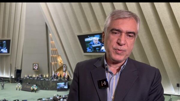 نماینده مجلس ایران ظهره وند - اسپوتنیک ایران  