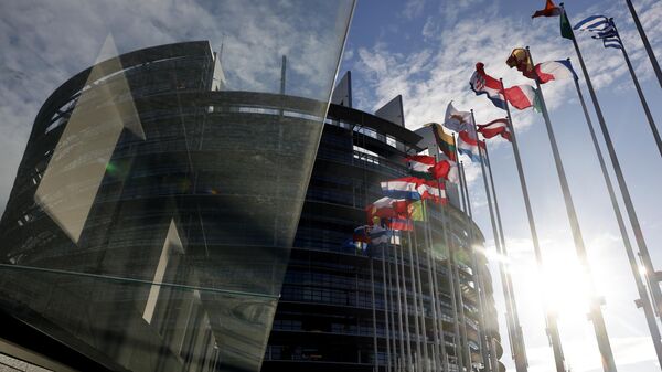 شتر اروپایی در خواب بیند پنبه دانه - اسپوتنیک ایران  