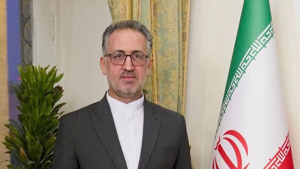 عیسی کاملی دستیار وزیر و مدیر کل آمریکای وزارت امور خارجه - اسپوتنیک ایران  