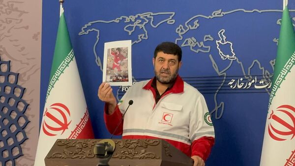 پیرحسین کولیوند، رئیس جمعیت هلال‌احمر در وزارت امور خارجه جمهوری اسلامی ایران  - اسپوتنیک ایران  