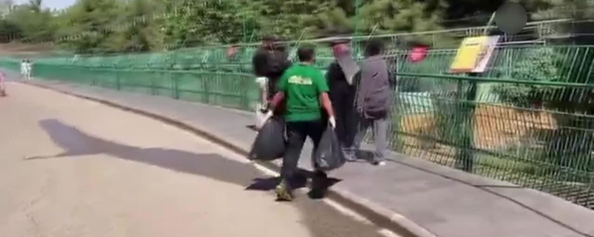 ترکیه هم به برگزاری روز جهانی ببر پیوست - اسپوتنیک ایران  , 1920, 29.07.2025