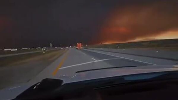 پنتاگون به طور تصادفی 25 هکتار از جنگل‌های آیداهو را آتش زد - اسپوتنیک ایران  