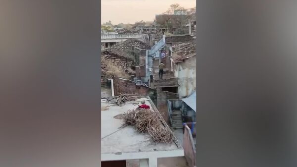 ‍ پلنگ خشمگین به روستاییان در راجستان حمله کرد - اسپوتنیک ایران  