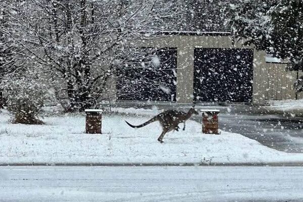 بارش برف بیسابقه در استرالیا بارش برف بیسابقه در استرالیا - اسپوتنیک ایران
