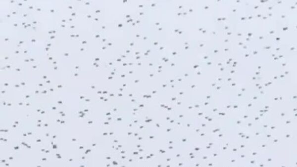 «باران پهپادی» در چین - اسپوتنیک ایران  