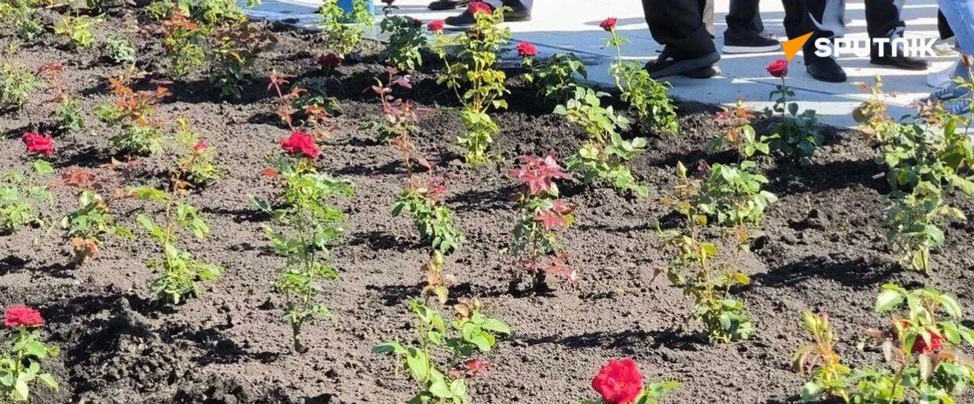 در کورسک به یاد غیرنظامیانی که در حملات نیروهای مسلح اوکراین کشته شدند، دسته های گل رز گذاشته شد - اسپوتنیک ایران  , 1920, 06.08.2025