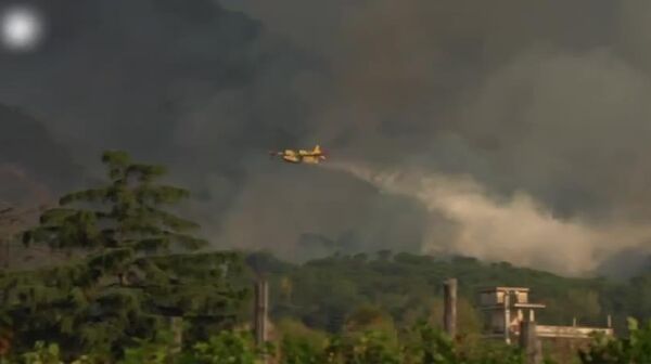 آتش‌سوزی در کوه وزوو - اسپوتنیک ایران  