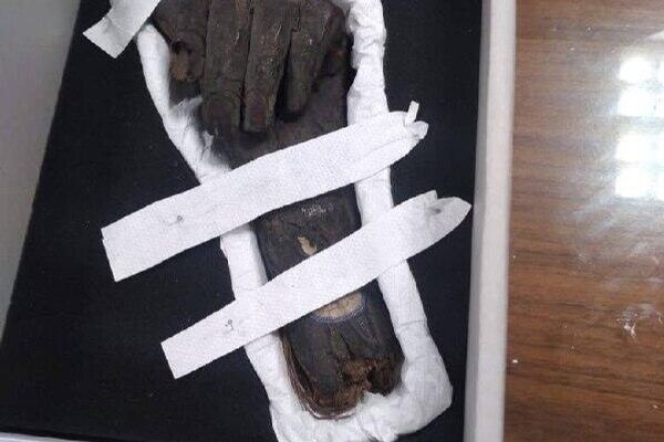 مصر 13 اثر باستانی از آلمان و بریتانیا را که زمانی از این کشور خارج شده بودند، بازگردانده است مصر 13 اثر باستانی از آلمان و بریتانیا را که زمانی از این کشور خارج شده بودند، بازگردانده است - اسپوتنیک ایران