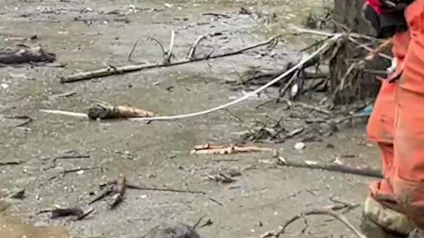 نجات یک سگ در شهرستان یوژونگ، استان گانسو چین - اسپوتنیک ایران  