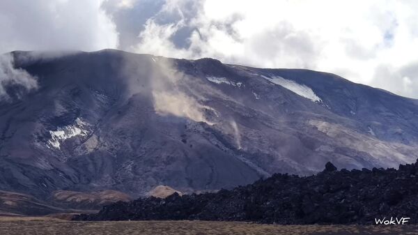 فوران آتشفشان کراشنینیکوف در منطقه حفاظت‌شده کرونوتسکی در کامچاتکای روسیه - اسپوتنیک ایران  