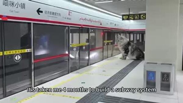 یک مرد چینی برای گربه‌اش ایستگاه مترو ساخت - اسپوتنیک ایران  