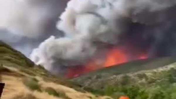 دستگیری 30 نفر به ظن‌شروع آتش‌سوزی‌ جنگلی در اسپانیا - اسپوتنیک ایران  