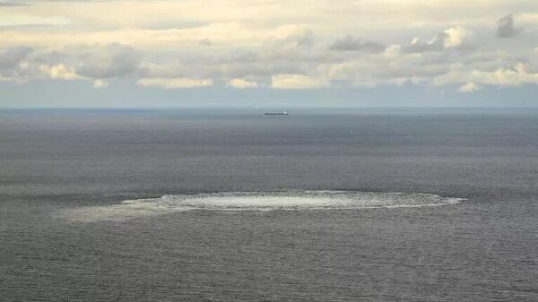 جزئیات بیشتر درباره اوکراینی دستگیر شده در ایتالیا و مظنون به انفجار در خط لوله نورد استریم - اسپوتنیک ایران  