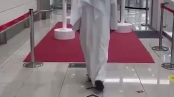 فرودگاه بین‌المللی دبی با هوش مصنوعی و فرش قرمز از مسافران پذیرایی می‌کند - اسپوتنیک ایران  