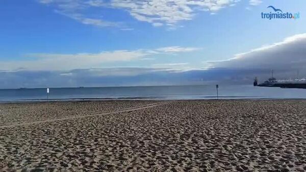 ظاهر شدن یک نهنگ عظیم در ساحل سوپوت لهستان - اسپوتنیک ایران  