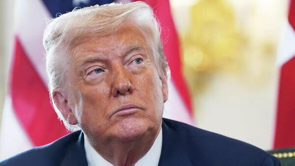 ترامپ می خواهد بداند که آیا پوتین و زلنسکی قادر به همکاری با یکدیگر هستند - اسپوتنیک ایران  