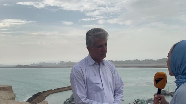 چابهار میتواند پایتخت اقتصادی ایران شود - اسپوتنیک ایران  