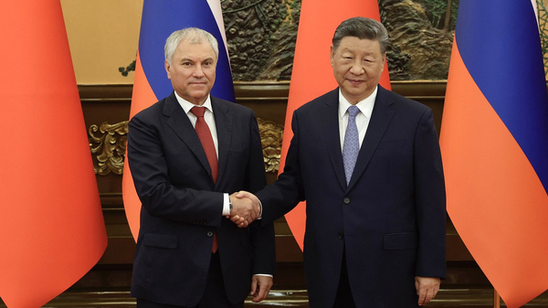 ولودین در پکن با شی جین پینگ دیدار کرد - اسپوتنیک ایران  