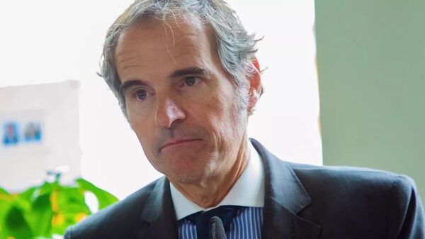 اولین تیم بازرسان آژانس بین‌المللی انرژی اتمی پس از مذاکره با تهران به ایران بازگشت - اسپوتنیک ایران  