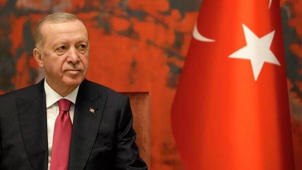 اردوغان در اجلاس سازمان همکاری شانگهای در چین شرکت می کند و انتظار می‌رود با شی جین پینگ دیدار کند - اسپوتنیک ایران  