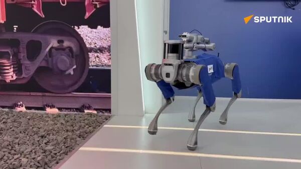 راه‌آهن روسیه نمونه اولیه‌ای از یک سگ رباتیک را به نمایش گذاشت - اسپوتنیک ایران  