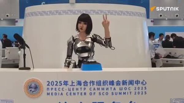 ربات ها در اجلاس سازمان همکاری شانگهای - اسپوتنیک ایران  