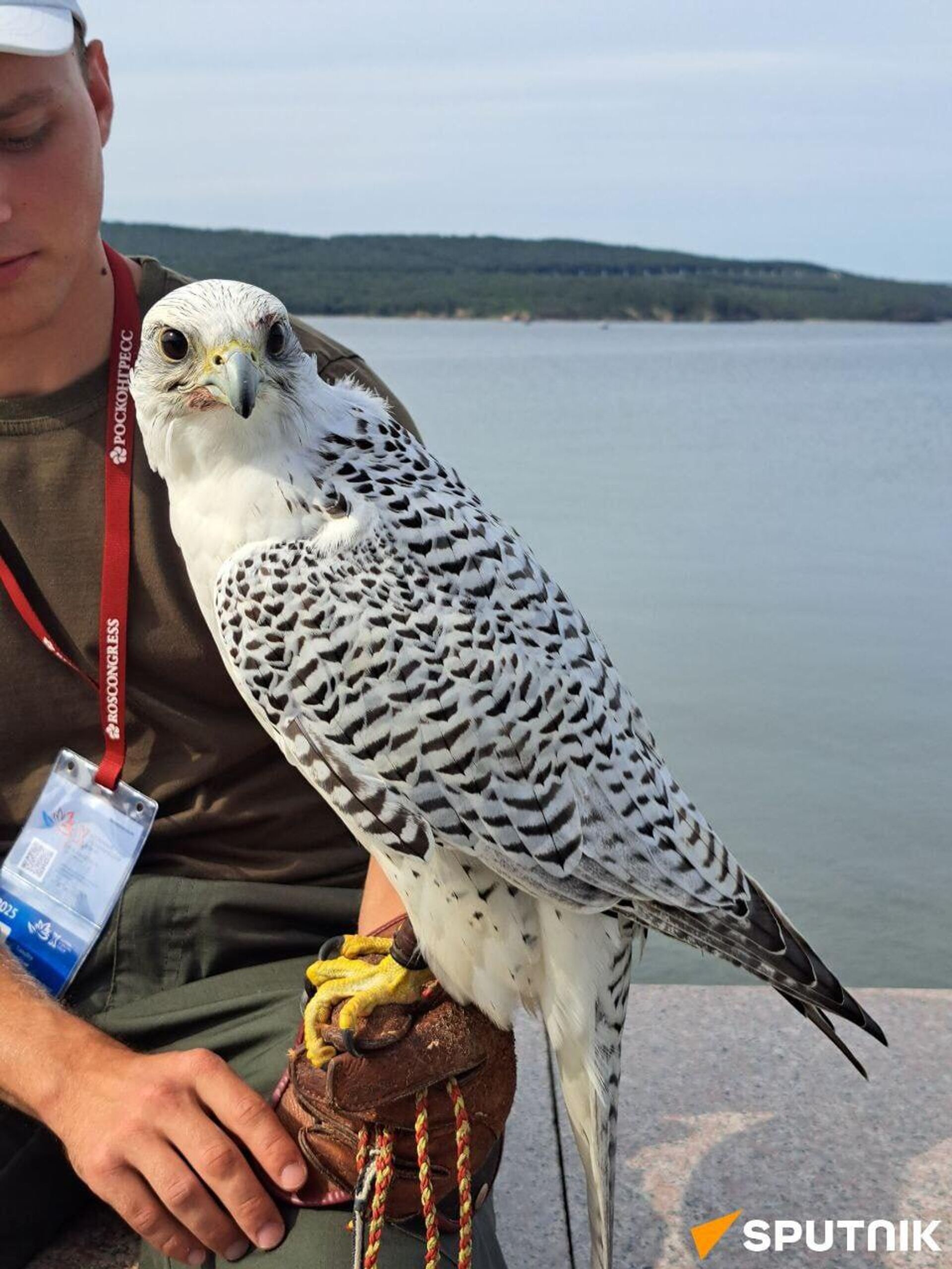 سومین مجمع بین‌المللی «روز شاهین» امروز همزمان با آغاز مجمع اقتصادی شرق 2025 برگزار شد - اسپوتنیک ایران  , 1920, 03.09.2025