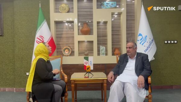 مدیر عامل منطقه آزاد چابهار به اسپوتنیک: چابهار میتواند در تولید ناخالص ملی نقش آفرینی کند - اسپوتنیک ایران  