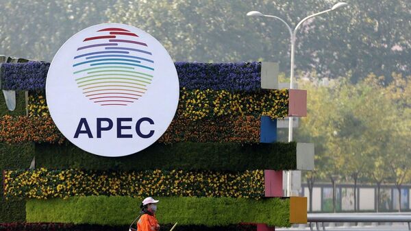 «کارآفرینان کشورهای عضو آپک علاقه‌مند به همکاری با روسیه هستند» - اسپوتنیک ایران  