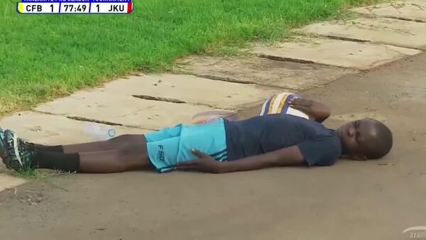 زنبورها وارد مسابقه فوتبال شدند - اسپوتنیک ایران  