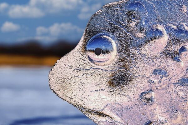 شهری که ماه بر ابدیت طلوع می‌کند و درختی که نظاره‌گر است: برندگان یازدهمین مسابقه عکاسی انجمن جغرافیای روسیه زیباترین کشور - اسپوتنیک ایران  