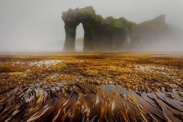 شهری که ماه بر ابدیت طلوع می‌کند و درختی که نظاره‌گر است: برندگان یازدهمین مسابقه عکاسی انجمن جغرافیای روسیه زیباترین کشور - اسپوتنیک ایران  