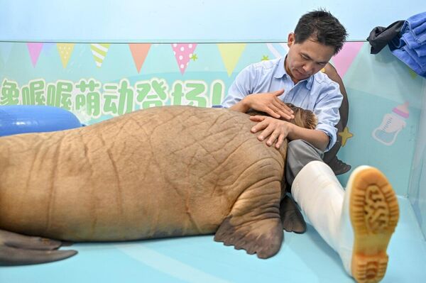 رویدادهای هفته از نگاه تصویر از 13 تا 19 سپتامبر - اسپوتنیک ایران  