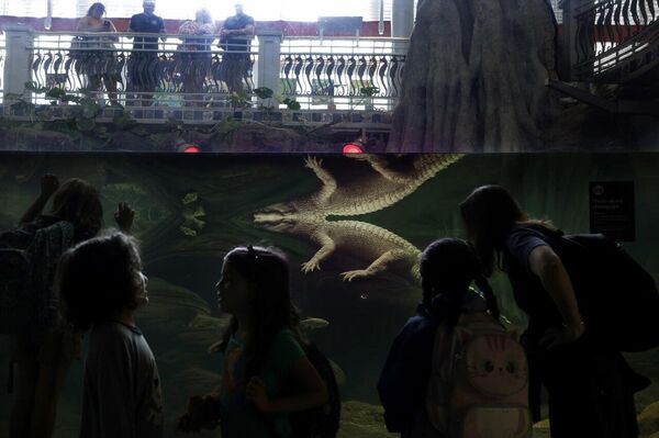 رویدادهای هفته از نگاه تصویر از 13 تا 19 سپتامبر - اسپوتنیک ایران  