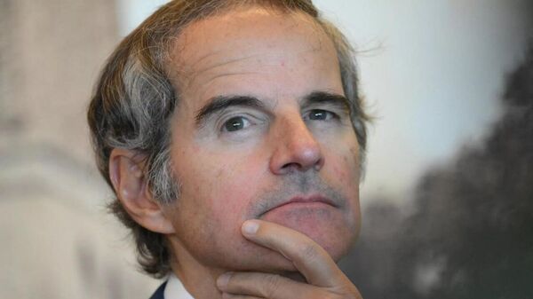 نماینده مجلس ایران: گروسی قول داده بود فعالسازی مکانیسم ماشه شش ماه به تعویق بیافتد - اسپوتنیک ایران  